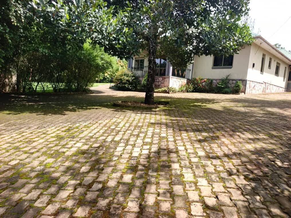 A picture of Wakiso nkowe hot deal