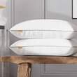 A picture of Air bed pillows 0781943565