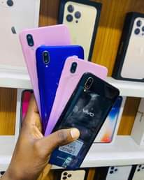 A picture of VIVo