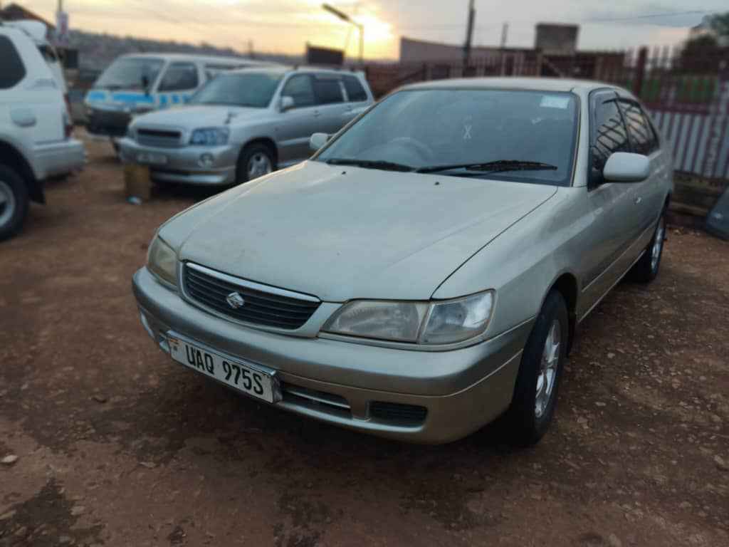A picture of PRIMO SUPER ON QUICK SALE AT 13 5 MILLION 0785807853