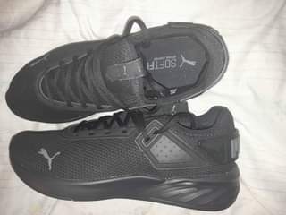 puma