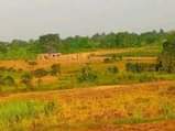 A picture of MATUGGA KALASA ESTATE PLOTS STARTED FROM 1MILLION 20 30ft 1M