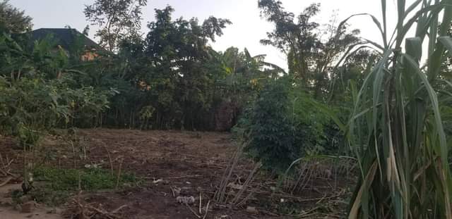 houses matugga