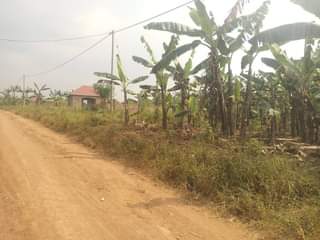 A picture of 5m Quick sale 5m 50by40ft located at matugga migadde off