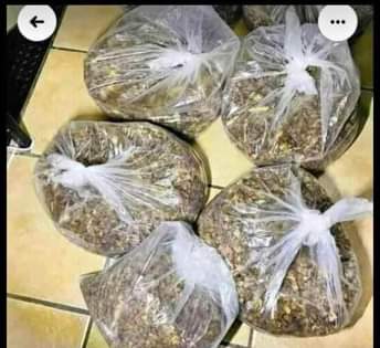 KZN A.