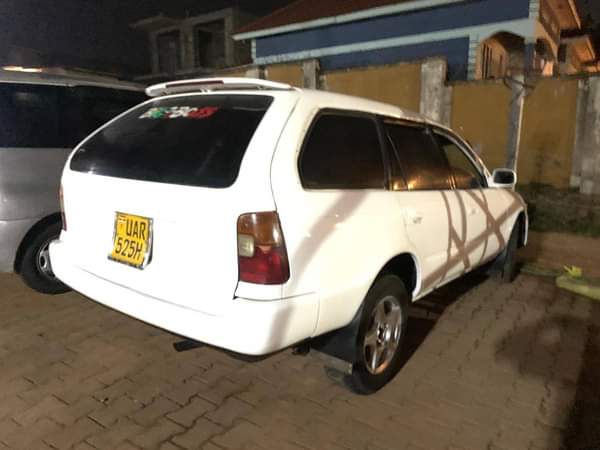 A picture of 0703704731