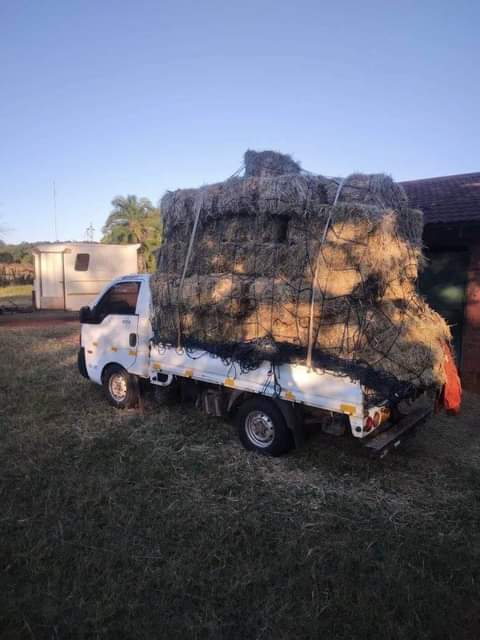 clothing bales