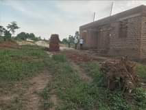 Gavamukulya T.