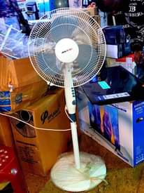 A picture of Fans fans fans