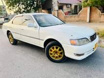A picture of Cresta cresta cresta