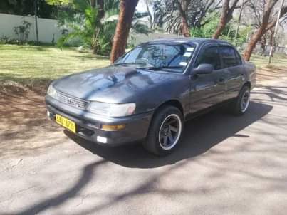 used toyota corolla