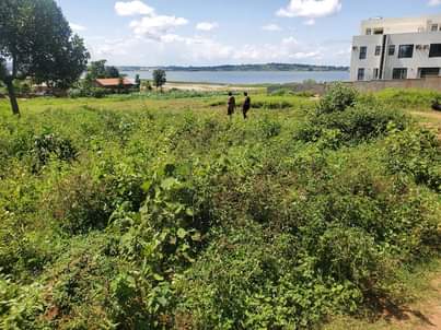A picture of Lakeview plot for sale in Garuga
