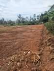 A picture of Nansana jenina