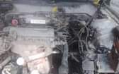 A picture of Nearly used OROBO