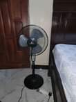 A picture of Kitanda