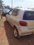 A picture of Vitz