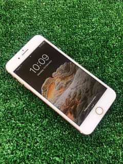 Mychoice G.