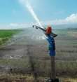 A picture of Irrigation Sprinklers