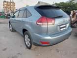 A picture of Harrier Newmodel for sale
