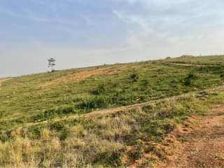 A picture of Plots at 18m Nakasajja kasenene