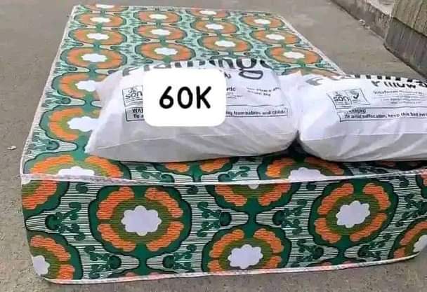 A picture of Beds and 2pillow for sale at affordable price