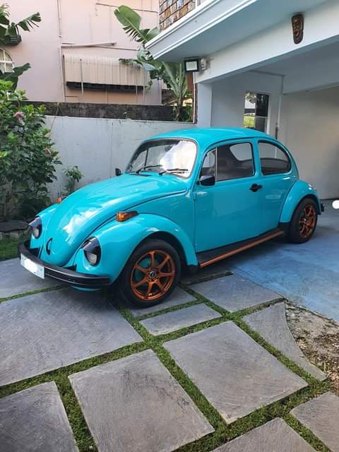 vw beetle