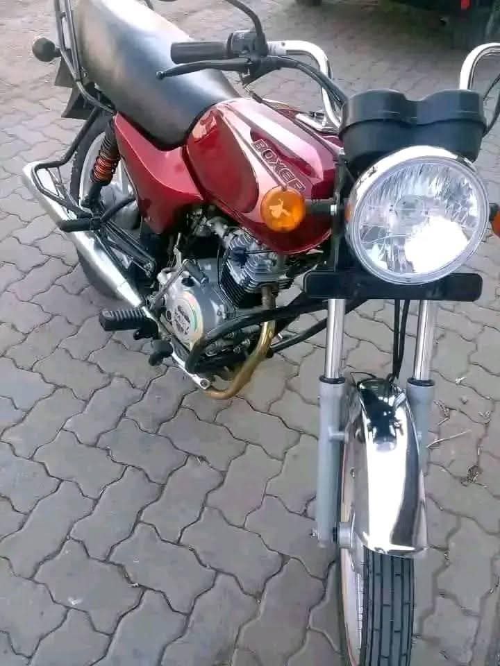 motorbikes