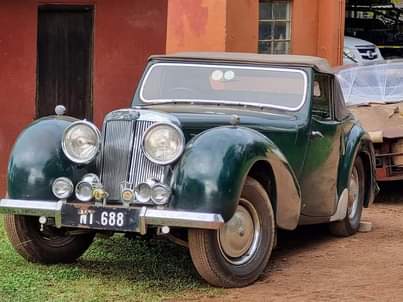 Classic,Muscle A.