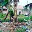 A picture of PLOTS FOR SALE LOCATED ENTEBBE ROAD KUBAYIITA ABABIRI
