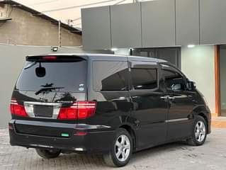 A picture of Alphard