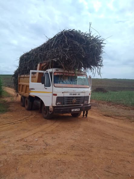 tipper truck