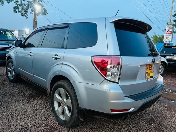 A picture of Subaru Forester XT