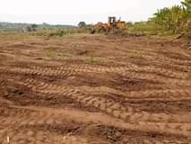 A picture of Matugga BAALE deal power on site Size 100by100ft 11m Size