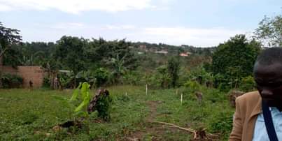 A picture of PLOTS On SALE AT WAKISO MABOMBWE BRAND NEW ESTATE