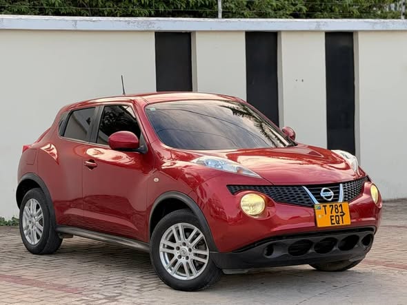 A picture of NISSAN JUKE