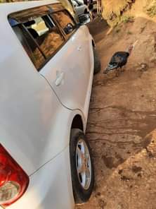 A picture of TOYOTA RUMION NICE AT 22MILLION SHS CALL OR WHATSAPP ON
