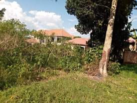 A picture of PRIME PLOTS FOR RESIDENTIAL AND COMMERCIAL USE FOR SALE LOCATED