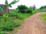 A picture of Quick sale 4 plots on quick sale located in matugga