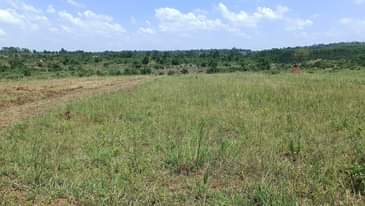 A picture of 50X100FT PLOTS FOR SALE AT BUSIIKA VVUMBA