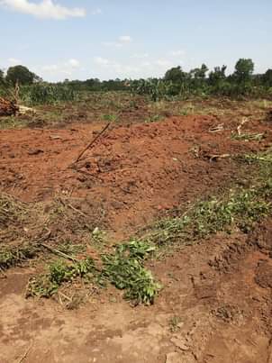 houses matugga