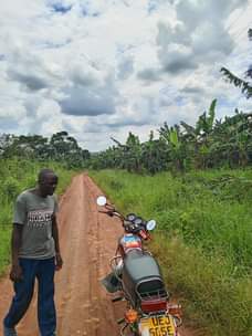 A picture of Land for sale at Kapeeka luwero 10 acres each at