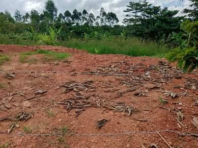 A picture of Commercial land