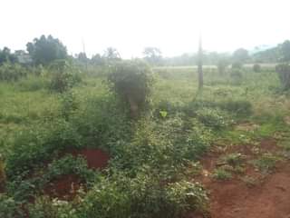 A picture of 100 ft by 50ft prime plot for sale that touches