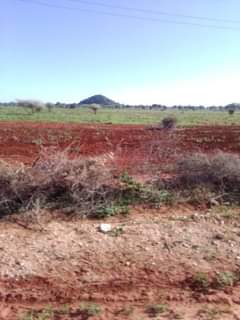 A picture of SHAMBA HEKA 50 KIJIJI CHA HUZI DODOMA
