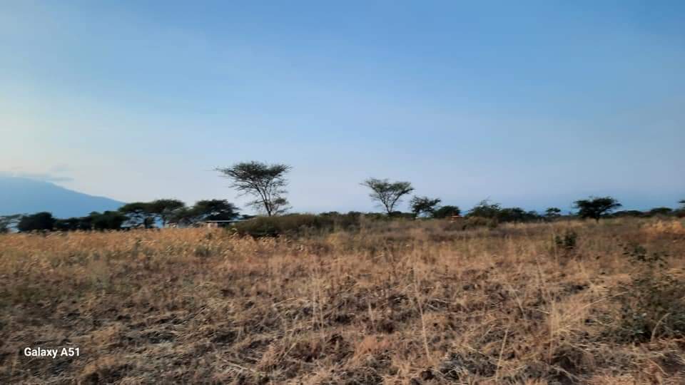 kiwanja