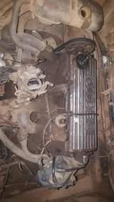 A picture of LT BUS