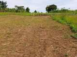 A picture of Mukono kalaji town plots on quick sale