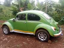 volkswagen beetle