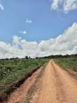 A picture of Mukono Namayiba estate