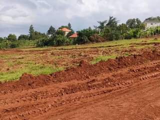 Mufunampola S.
